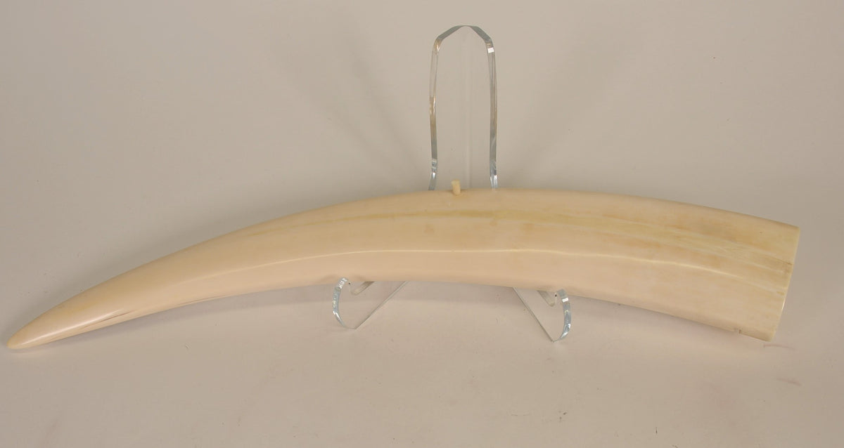 Eskimo Walrus Ivory Cribbage Board with Scrimshaw