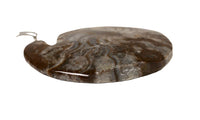 5224-0437 - Image 6