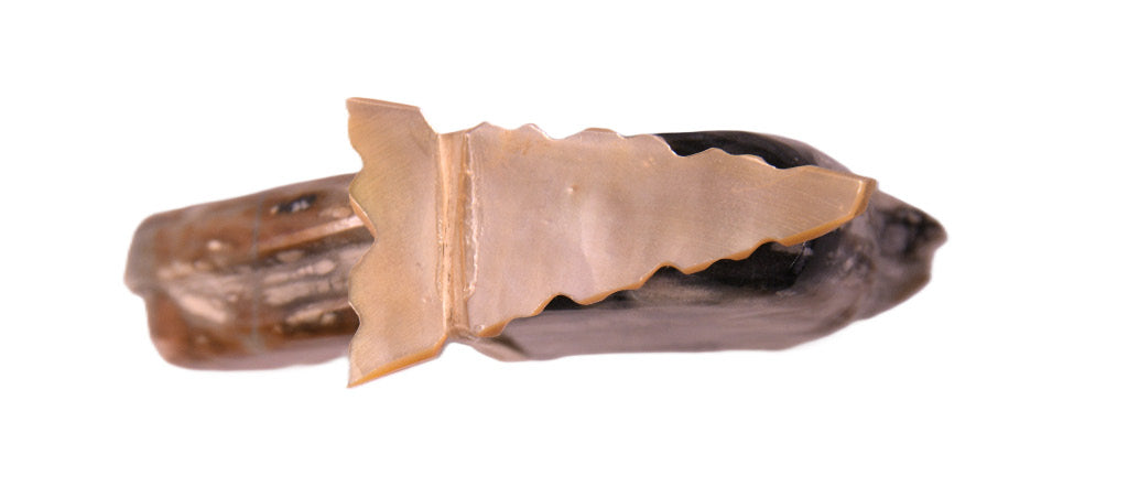 5224-0459 - Image 1