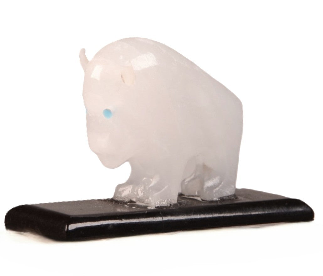 Zuni Pueblo White Buffalo Fetish By Todd Westika