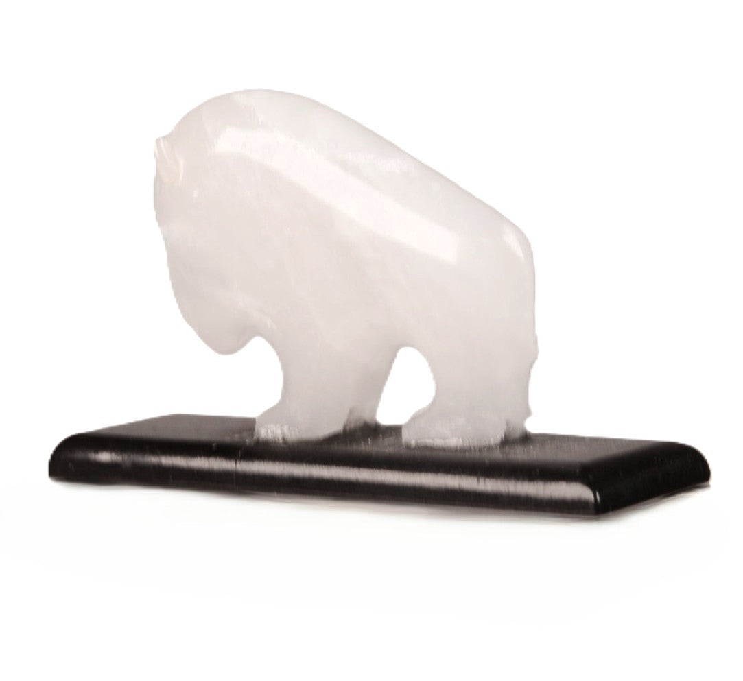 Zuni Pueblo White Buffalo Fetish By Todd Westika