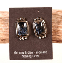 Navajo Dark Blue Lapis Earrings