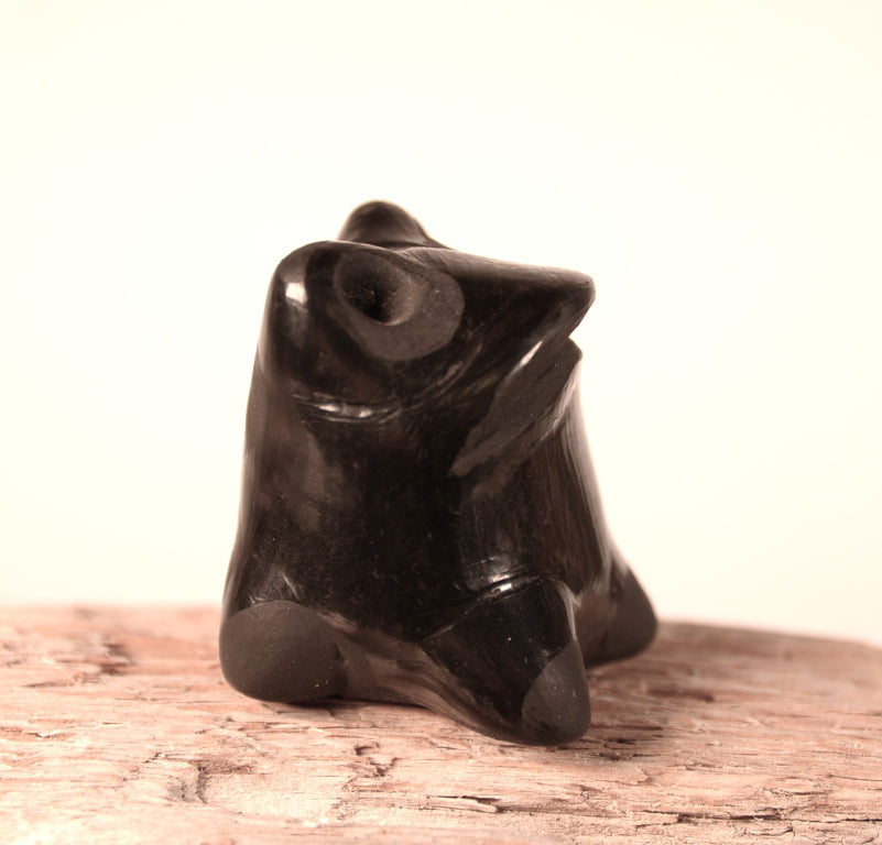 Santa Clara Pueblo Black Frog Pottery By Maria