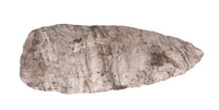 Southeastern Banded Luace Blade