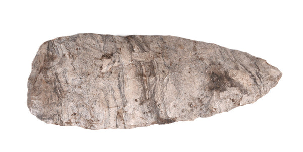 Southeastern Banded Luace Blade