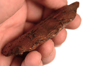 Midwest Early Man Artifact