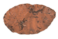 Midwest Early Man Artifact
