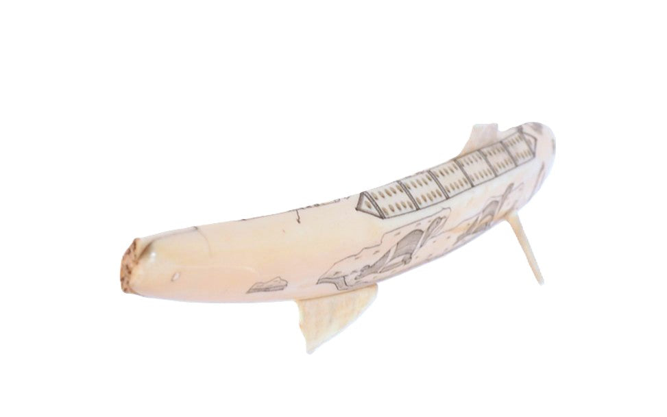 Eskimo/Inuit Scrimshaw Ivory Cribbage Board