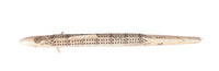 Eskimo/Inuit Scrimshaw Ivory Cribbage Board