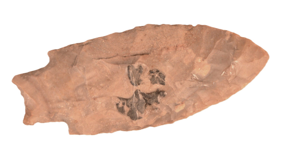Early Man Point Arrowhead Artifact