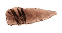 Early Man Oregon Point Artifact