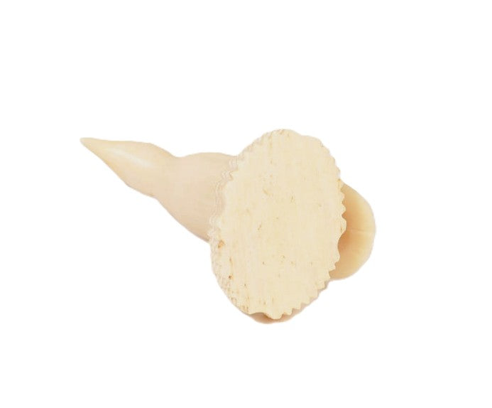 Eskimo Inuit Whalebone Bird Carving Fetish