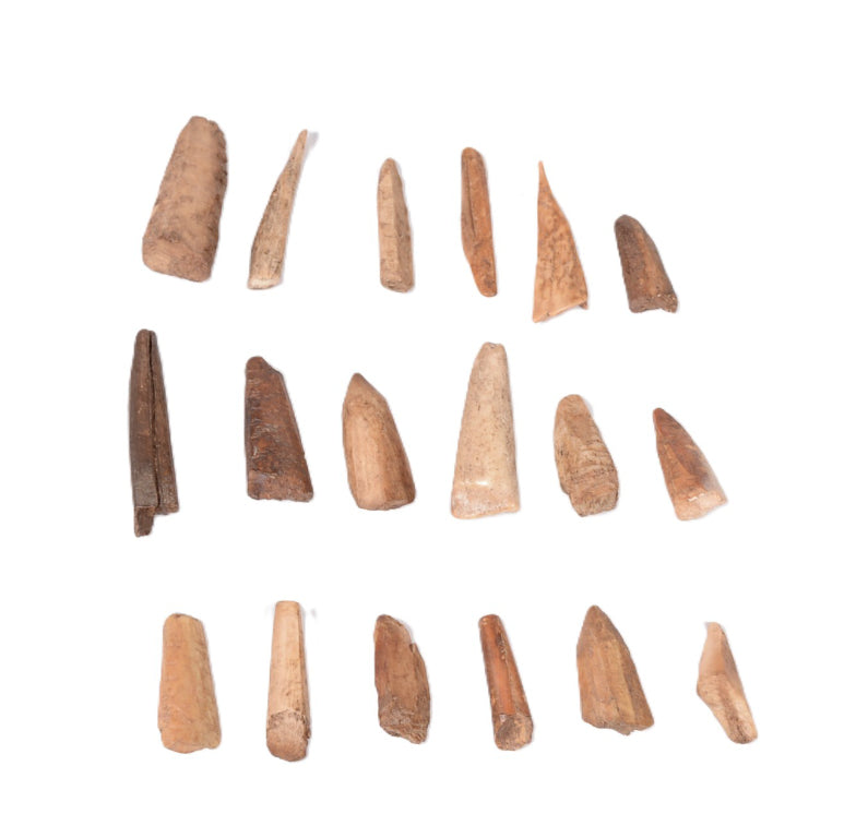 Pacific Northwest Eskimo Ivory Set of 18