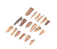 Pacific Northwest Eskimo Ivory Set of 18