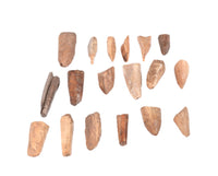 Pacific Northwest Eskimo Ivory Set of 18