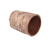 Northeast Indian Birch Bark Basket