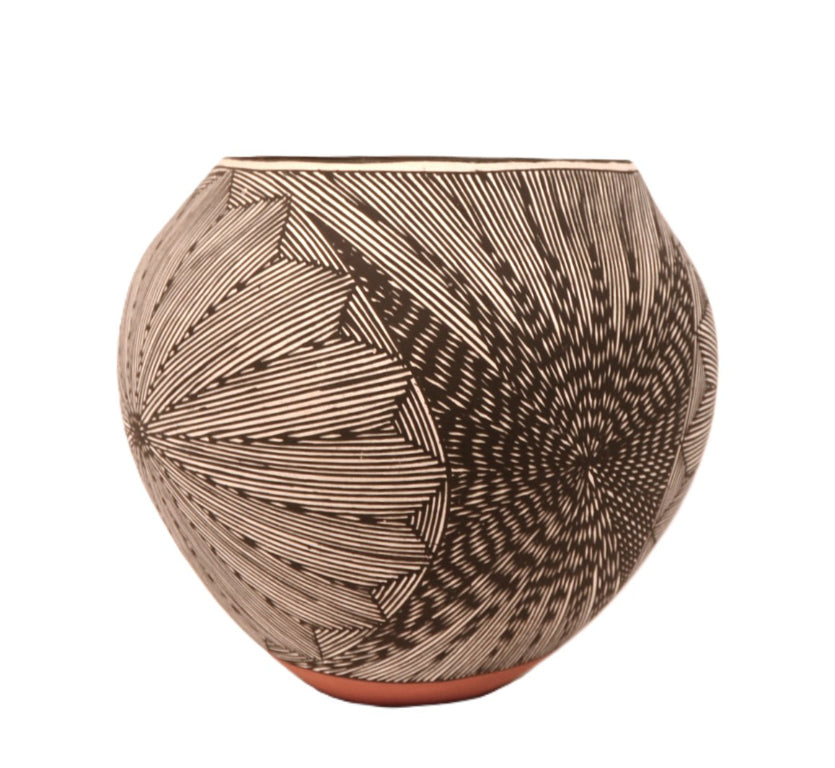 Acoma Pueblo Black on White Pottery Jar By D.L Vallo