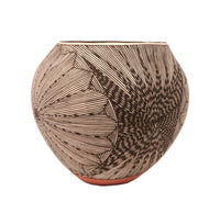 Acoma Pueblo Black on White Pottery Jar By D.L Vallo