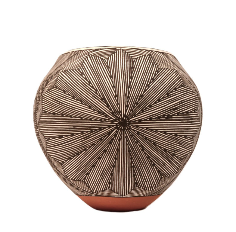 Acoma Pueblo Black on White Pottery Jar By D.L Vallo
