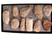 Prehistoric Mid West Artifacts Scrapers Set of 10