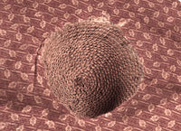 Paiute Hat Basketry
