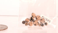 Pomo Micro Miniature Baskets Set