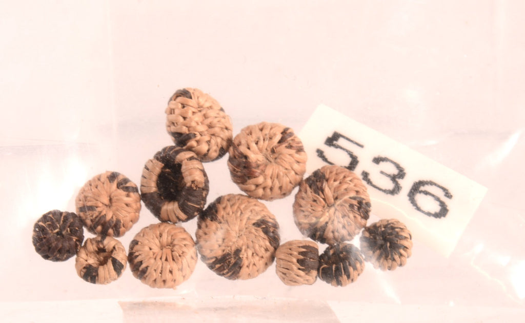 Pomo Micro Miniature Baskets Set