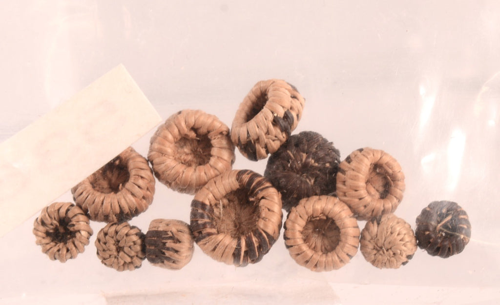 Pomo Micro Miniature Baskets Set