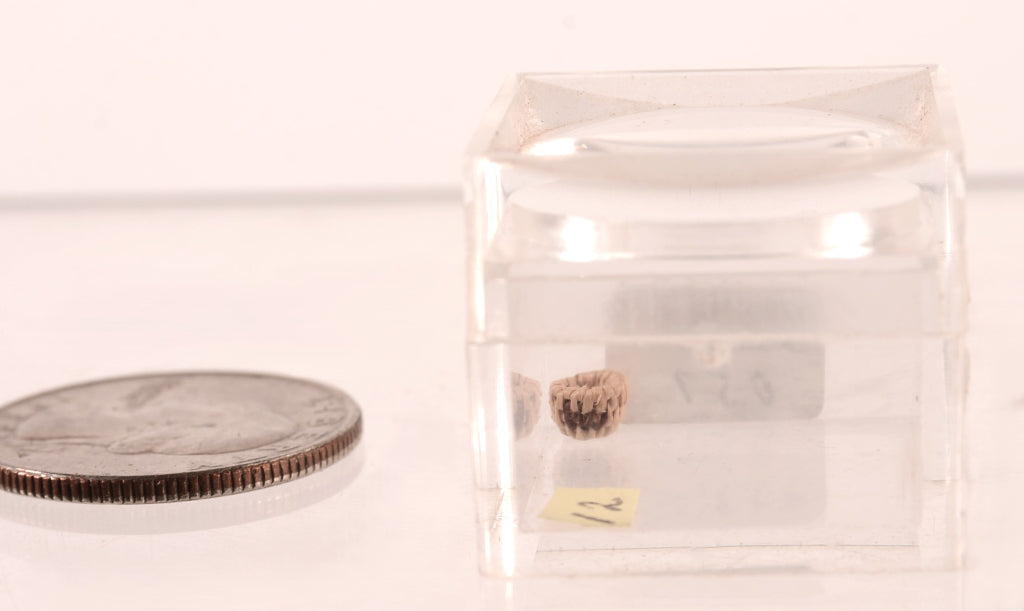 Pomo Super Miniature Basket