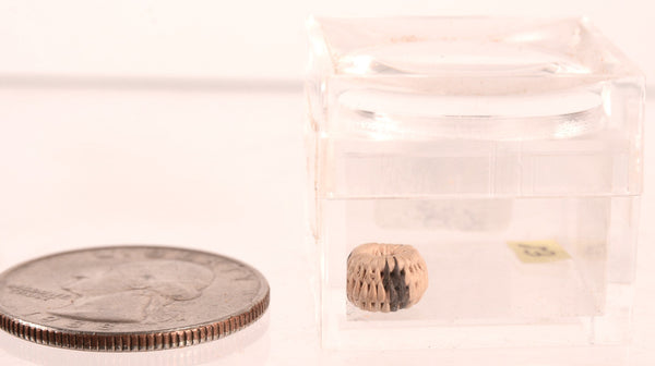 Pomo Super Miniature Basket