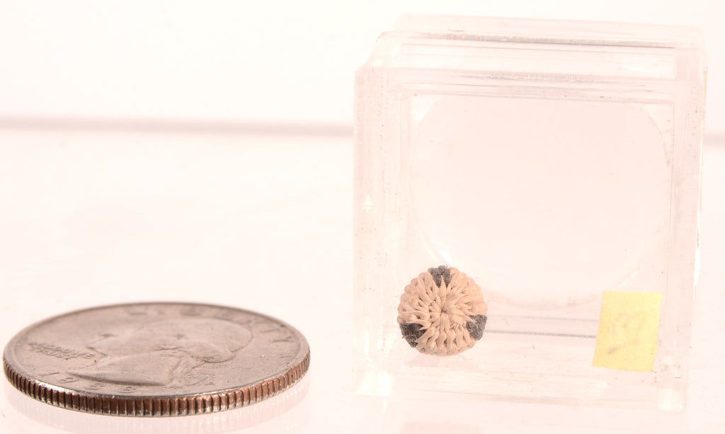 Pomo Super Miniature Basket