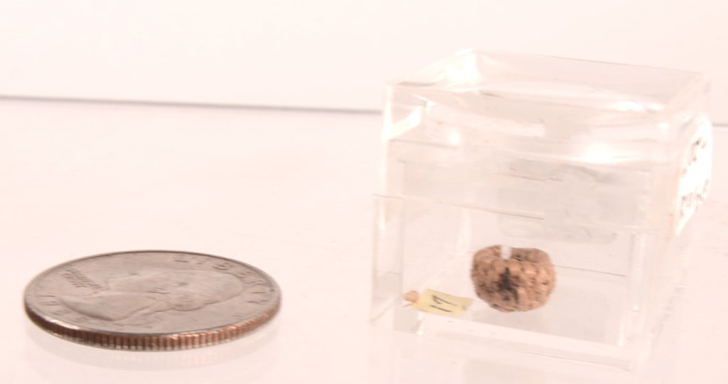 Pomo Super Miniature Basket