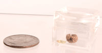 Pomo Super Miniature Basket