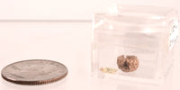 Pomo Super Miniature Basket