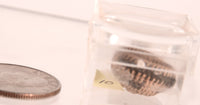 Pomo Super Miniature Basket