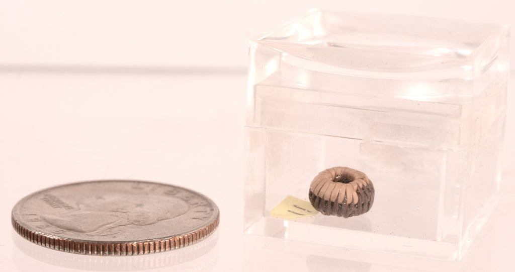 Pomo Super Miniature Basket