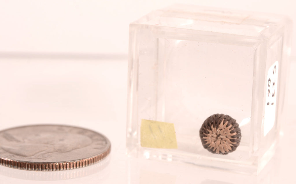 Pomo Super Miniature Basket