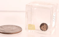 Pomo Super Miniature Basket