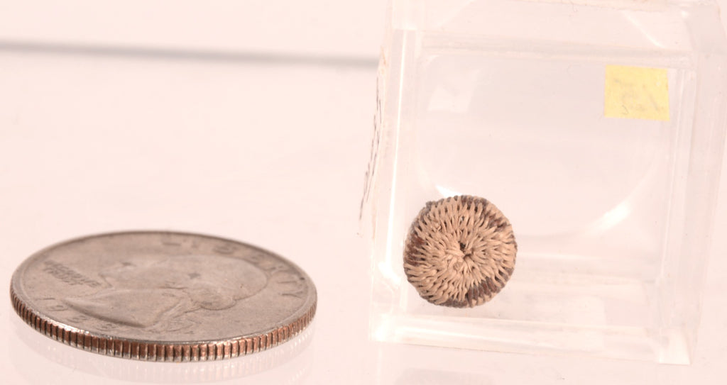Pomo Super Miniature Basket