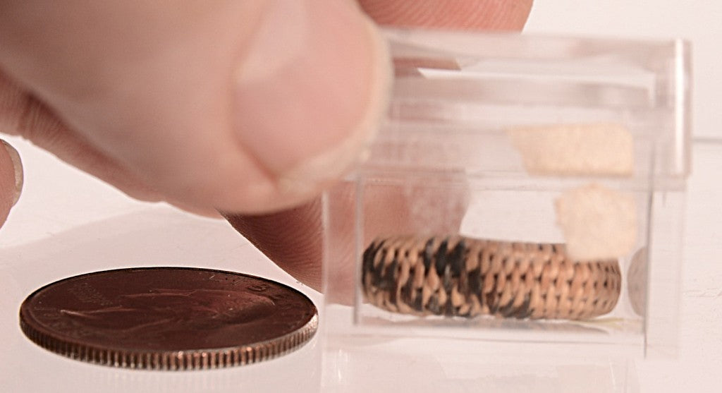 Pomo Super Miniature Basket