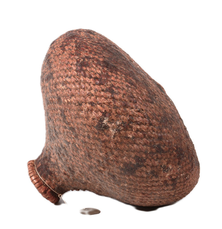 Paiute Pitch Water Basket