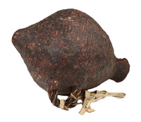 Paiute Pitch Water Basket