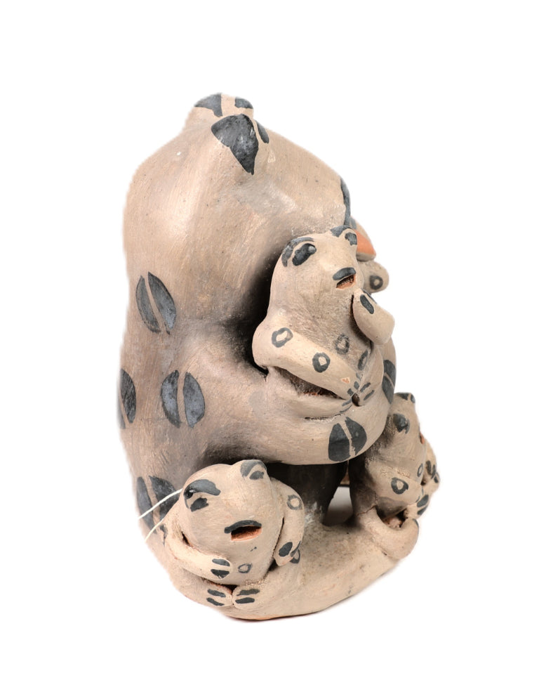 Cochiti Storyteller Frog Pottery By Mary Martin