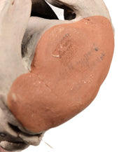 Cochiti Storyteller Frog Pottery By Mary Martin