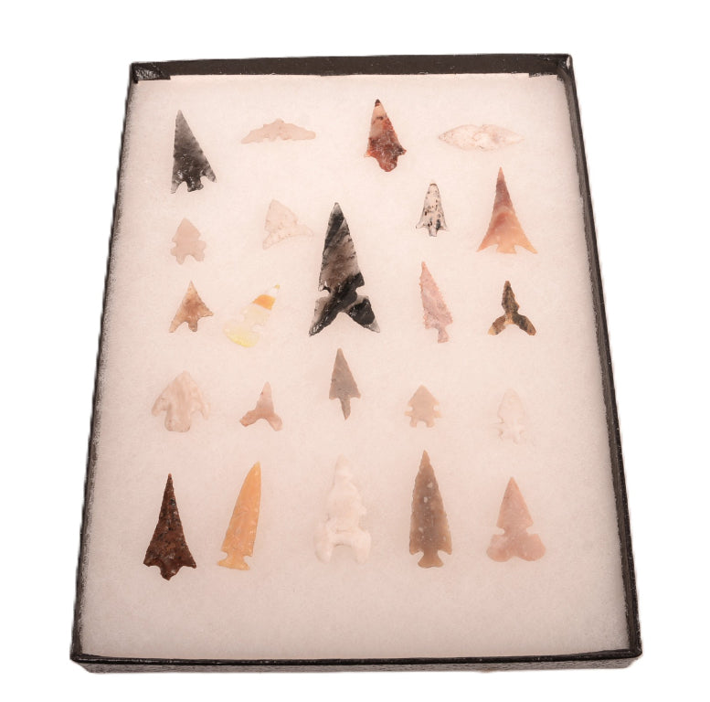 Early Man Oregon Gem Point Arrowheads in Riker Box