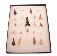 Early Man Oregon Gem Point Arrowheads in Riker Box
