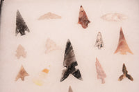 Early Man Oregon Gem Point Arrowheads in Riker Box
