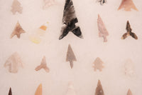 Early Man Oregon Gem Point Arrowheads in Riker Box