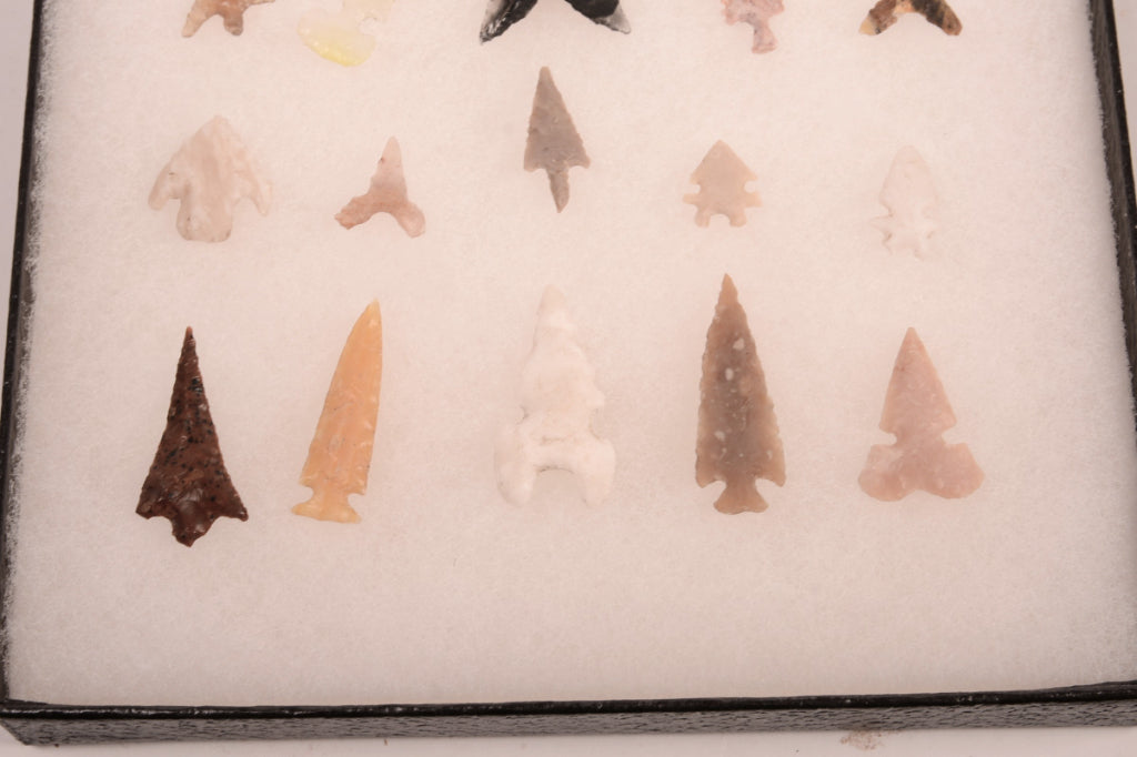 Early Man Oregon Gem Point Arrowheads in Riker Box
