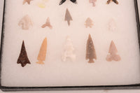 Early Man Oregon Gem Point Arrowheads in Riker Box